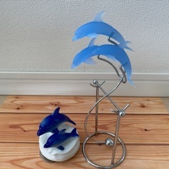 Dolphin Family    