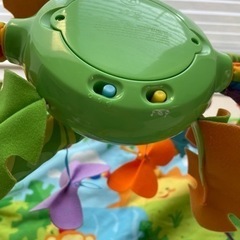 フィッシャープライス　レインフォレストの画像