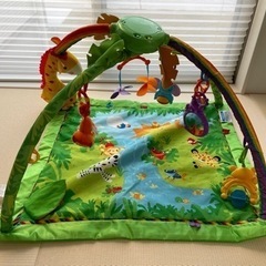 フィッシャープライス　レインフォレスト