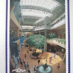 写真　ポストカード　ミネソタ モール・オブ・アメリカ（３枚）、コロラド（１枚）の画像