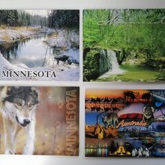 ポストカード　ミネソタ 冬 自然 木 林 森 狼（３枚）、オース...