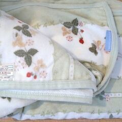 !WEDGWOOD タオル ブランケット シングル 少々汚れあり!の画像