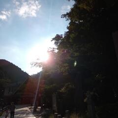 差替【5名募集】12/18高尾山へ日の入りナイトハイク - 八王子市