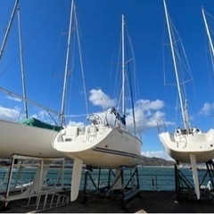 ヨット仲間募集します☺️⛵️ - メンバー募集