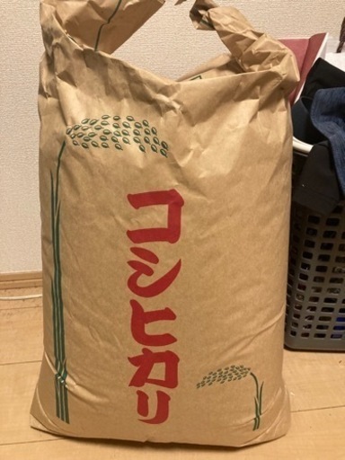 令和4年産　コシヒカリ30kg 1体のみ　5000円
