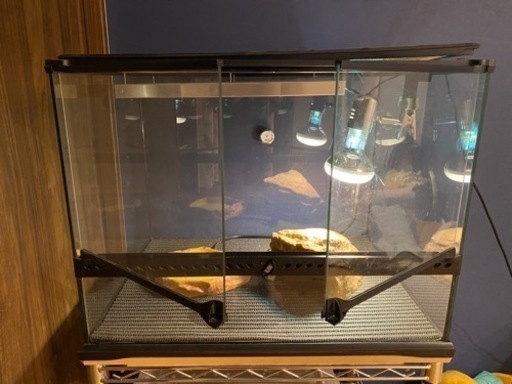 GEX 爬虫類　ケージ　おまけ有り