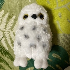 フクロウぬいぐるみ