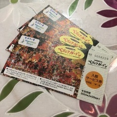 なばなの里 ベゴニアガーデン 入館サービス券3枚