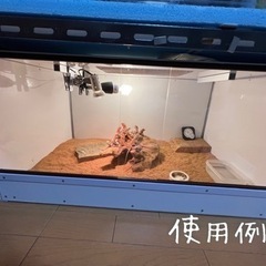 爬虫類、小動物ケージ　作製の画像