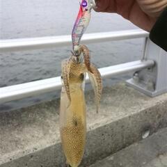 千葉市で釣りができる友達募集　※コメント覧へ