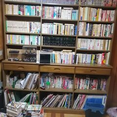 大きい本棚　二つあり