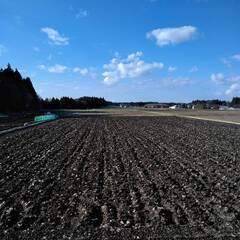 田んぼ賃貸します。