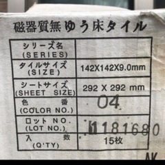 外装　床タイルの画像