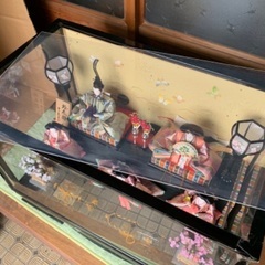 雛人形の画像