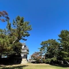 日本龍門太極拳研究会