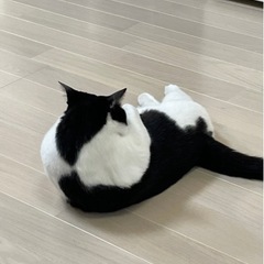 放課後等デイサービス スタッフ募集 時給1100の画像