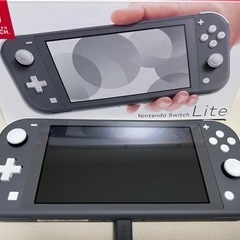 Switch 2 / Switch】画面がグレーや見慣れない色になってしまい