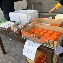旬の野菜がお買い得！朝市開催します！朝10時〜