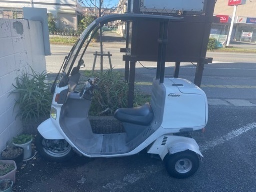 ホンダジャロキャノビミニカー登録済み