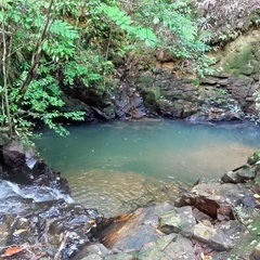 東村別荘・民泊戸建・保養所 − 沖縄県