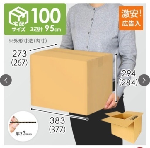 ダンボール(100)