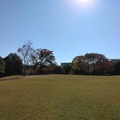 ☆公園でのランニング仲間募集(多摩市) ☆