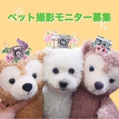 ペット写真残しませんか？🐶【無償です✨】