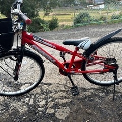 シマノマウンテンバイク商談中