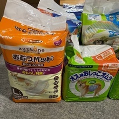 小型犬（オス）紙おむつの画像