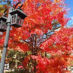 【埼玉県本庄市】70分1回5000円で波動セラピー試してみませんか☆ - 本庄市