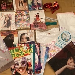 DIE IN CRIES ファンクラブ ヴェルトの眼の会報 8冊セット