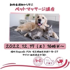 ペットマッサージ講座