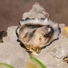 11/18(金)19:30～    冬です❕牡蠣の季節です🦪オイスターバーで牡蠣と美酒のペアリングを楽しむグルメ会☆ - 新宿区