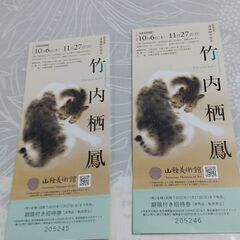 竹内栖鳳のチケット