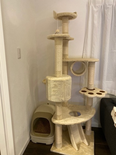キャットタワー