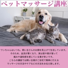 ペットケア講座の画像