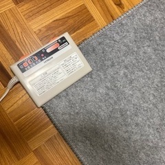中古ホットカーペットの画像