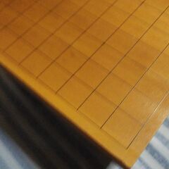 将棋盤      鼻毛カッタ-