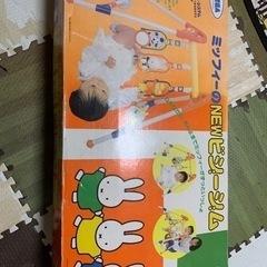 ミッフィーのNEWビジージム