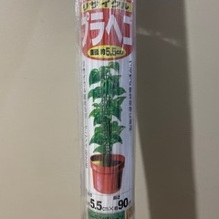 新品/植物の支柱  観葉植物などにの画像