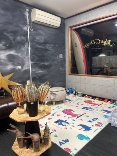 ユタエンシス　エボリスピナ　発根済み　✨