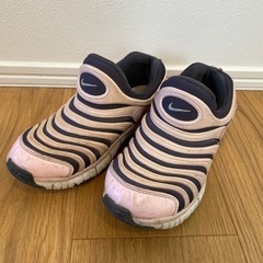 ナイキダイナモフリー20センチ