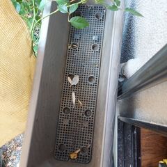 プラスチック植木鉢&プランターお譲りします