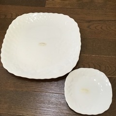 平皿セット箱付きの画像