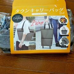 折りたたみキャリーバッグ