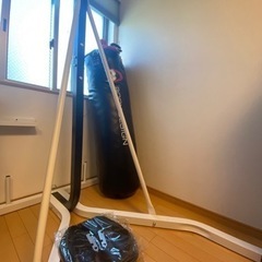 BODYDESIGN サンドバッグの画像