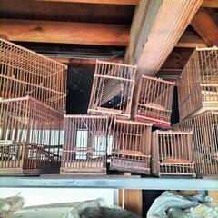 鳥籠　竹製50個以上の画像