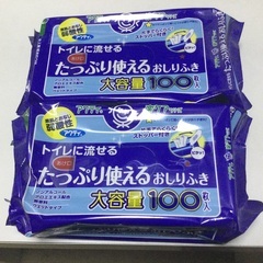 たっぷり使えるおしりふき　100枚入り2個