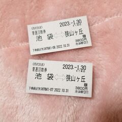 西武池袋線 回数券 2枚