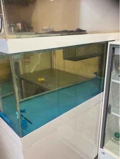 活魚用！　水槽1200   冷却装置セット　特大水槽